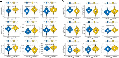 Hypoxia-related tumor environment correlated with immune infiltration and therapeutic sensitivity in diffuse large B-cell lymphoma